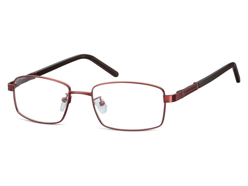 Berkeley Computer brille 659B