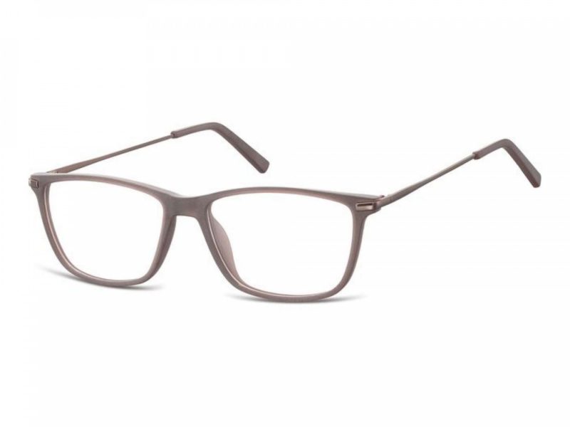 Berkeley Computer brille AC24 F