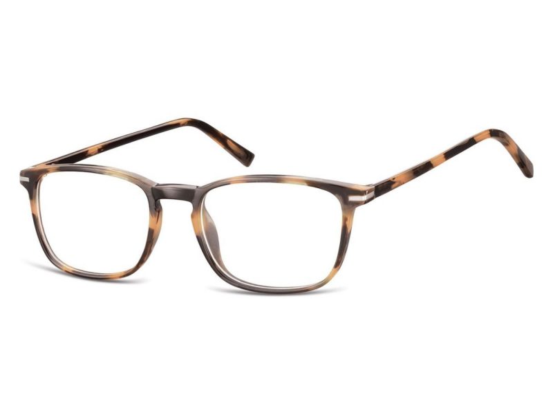 Berkeley Computer brille CP120D