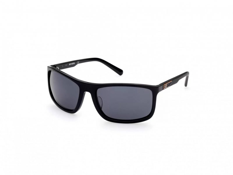 Sonnenbrille HD 0956X 01D