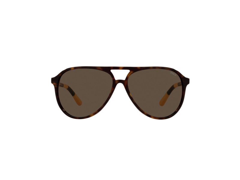 Polo Sonnenbrille PH 4173 5003/73