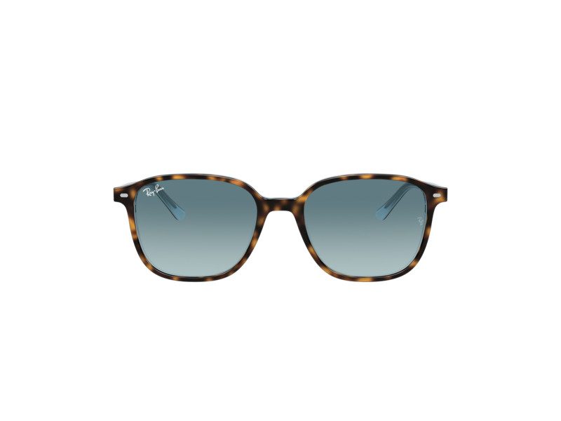 Ray-Ban Leonard Sonnenbrille RB 2193 1316/3M