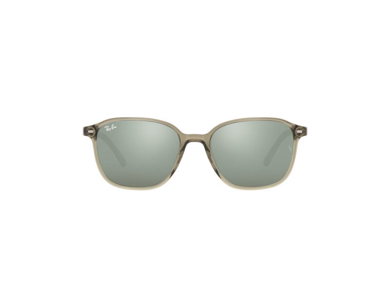 Ray-Ban Leonard Sonnenbrille RB 2193 6635/5C