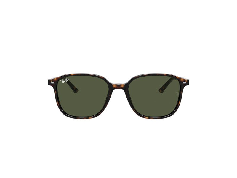 Ray-Ban Leonard Sonnenbrille RB 2193 902/31