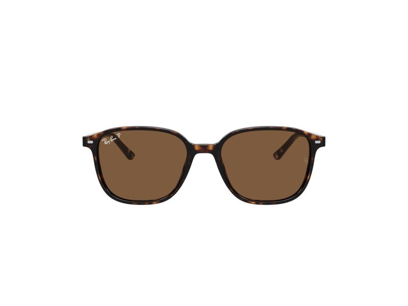 Ray-Ban Leonard Sonnenbrille RB 2193 902/57