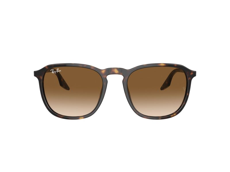 Ray-Ban Sonnenbrille RB 0RB2203 902/51