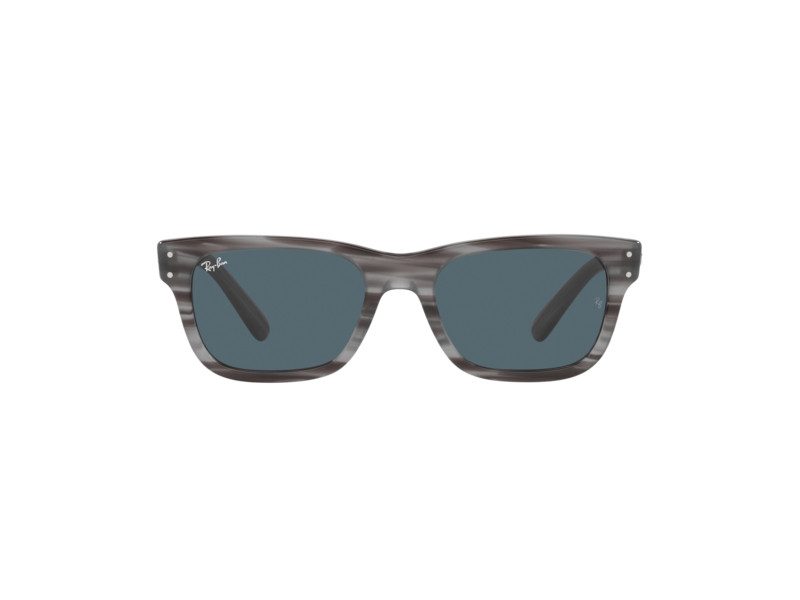 Ray-Ban Mr Burbank Sonnenbrille RB 2283 1314/R5