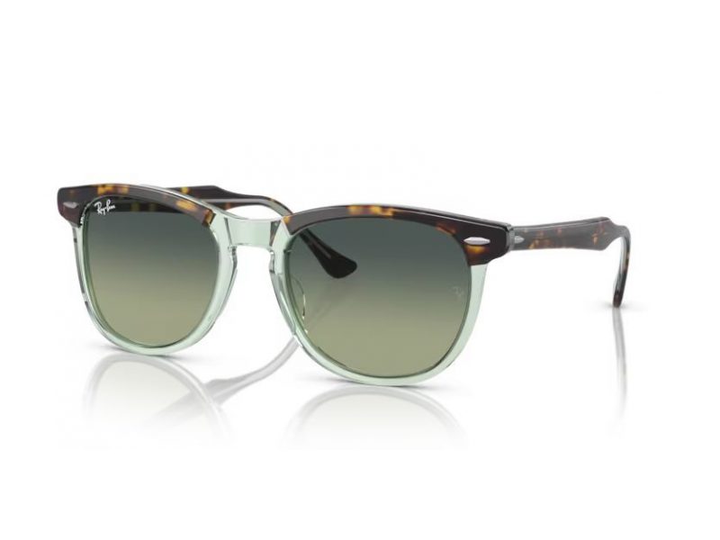 Ray-Ban Eagleeye Sonnenbrille RB 2398 1376BH