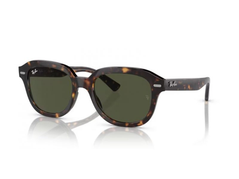 Ray-Ban Erik Sonnenbrille RB 4398 902/31