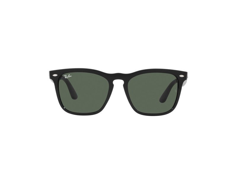 Ray-Ban Steve Brillen RB 4487 662971