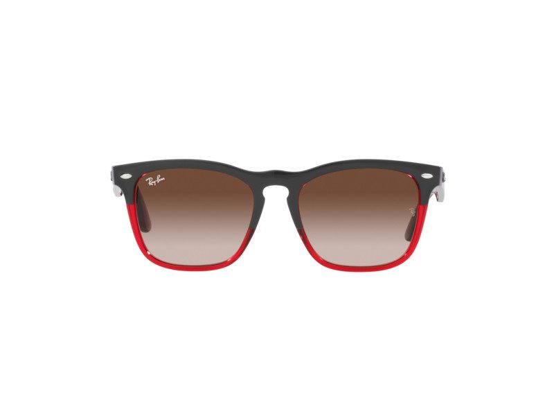 Ray-Ban Steve Brillen RB 4487 663113