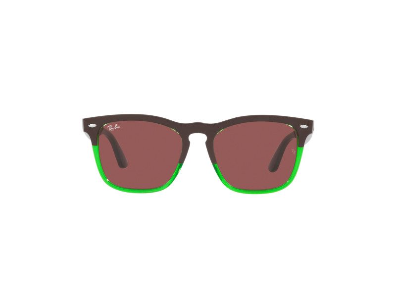 Ray-Ban Steve Brillen RB 4487 663469